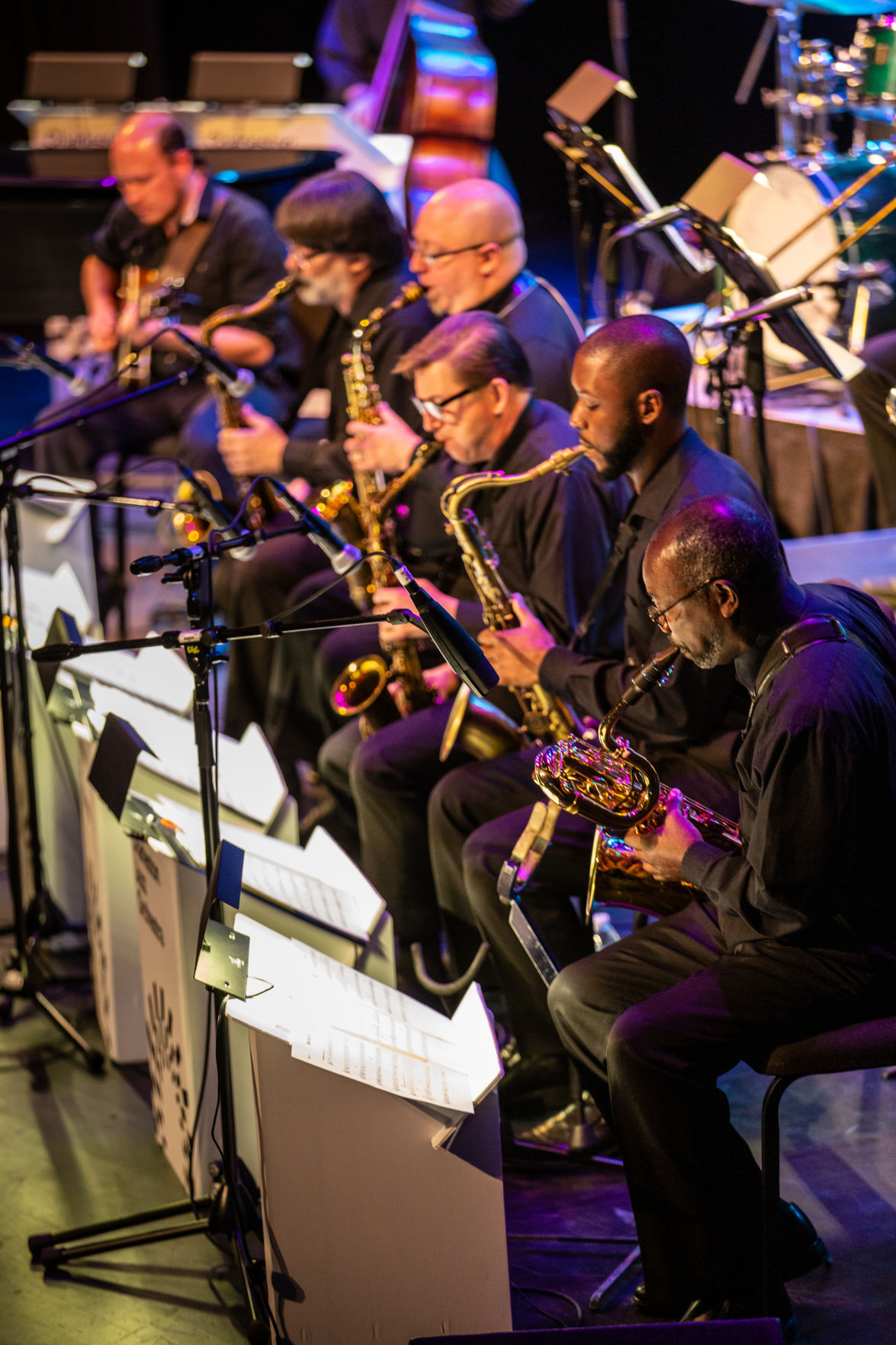 2019JazzDayForKids_JB McCabe Photography.jpg (copy) (copy)